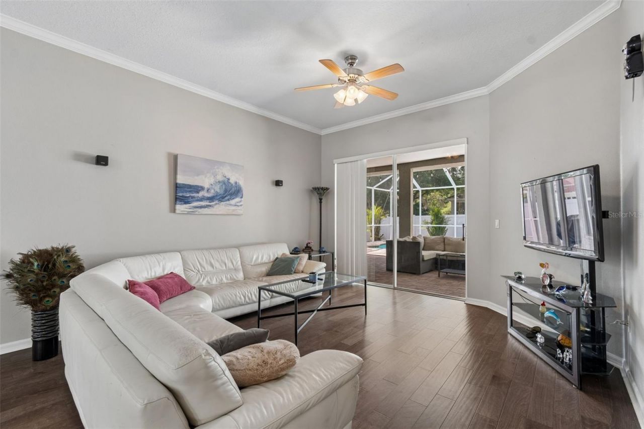 10243 Shadow Branch Drive, Tampa, FL 33647 Photo