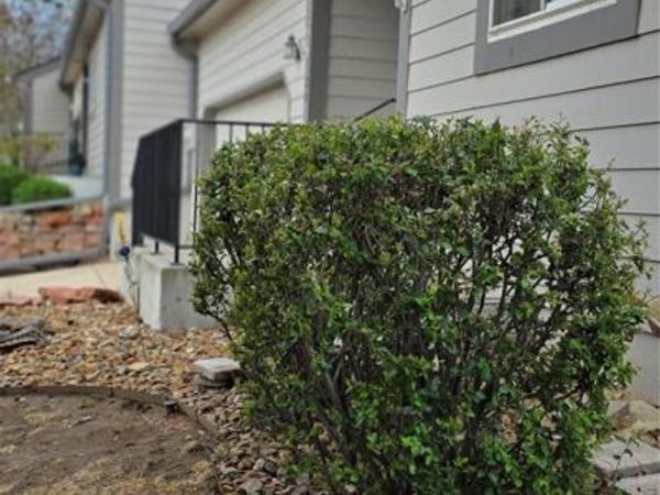 180 Cobblestone Drive , Colorado Springs, CO 80906