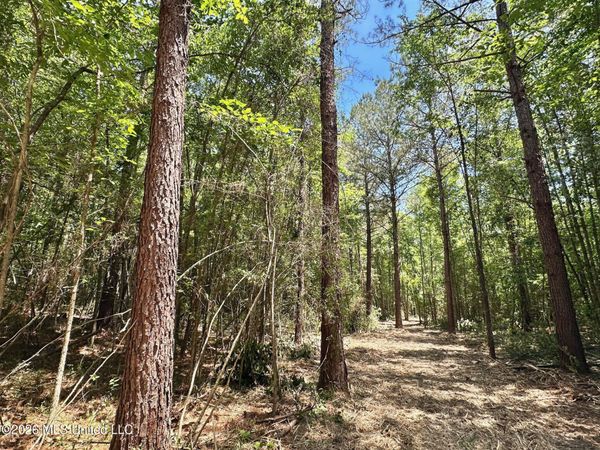 0 Mcnair Springs Road , Magee, MS 39111