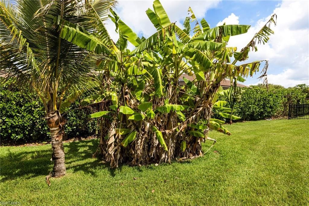 9302 Via San Giovani St, Fort Myers, FL 33905 Photo
