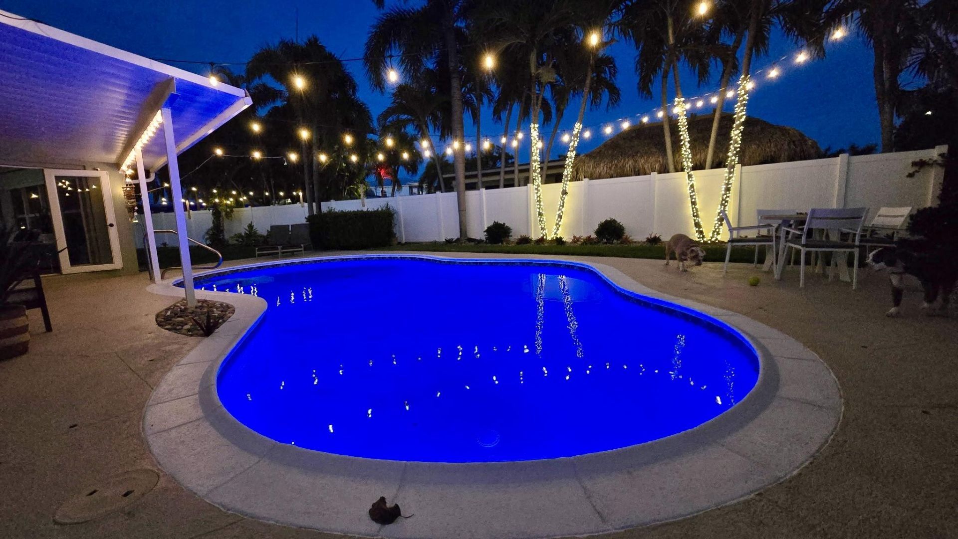 2650 NE 50th Street, Lighthouse Point, FL 33064 Photo