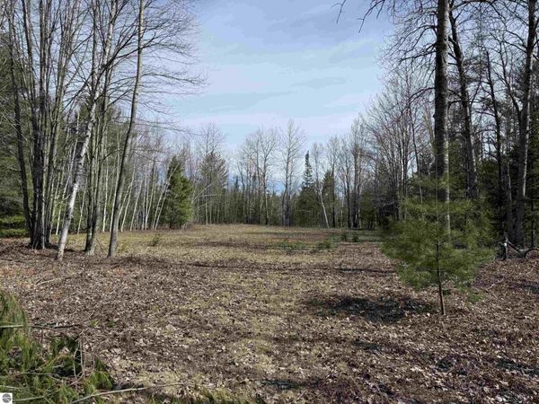 Michaud Road, Mikado, MI 48745