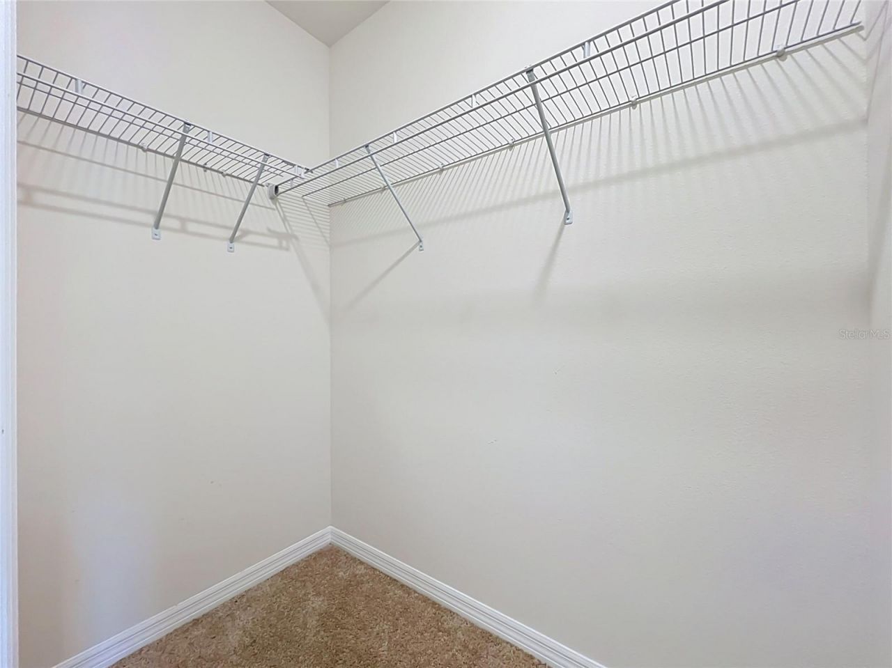 20029 Royal Tern Court, Leesburg, FL 34748 Photo