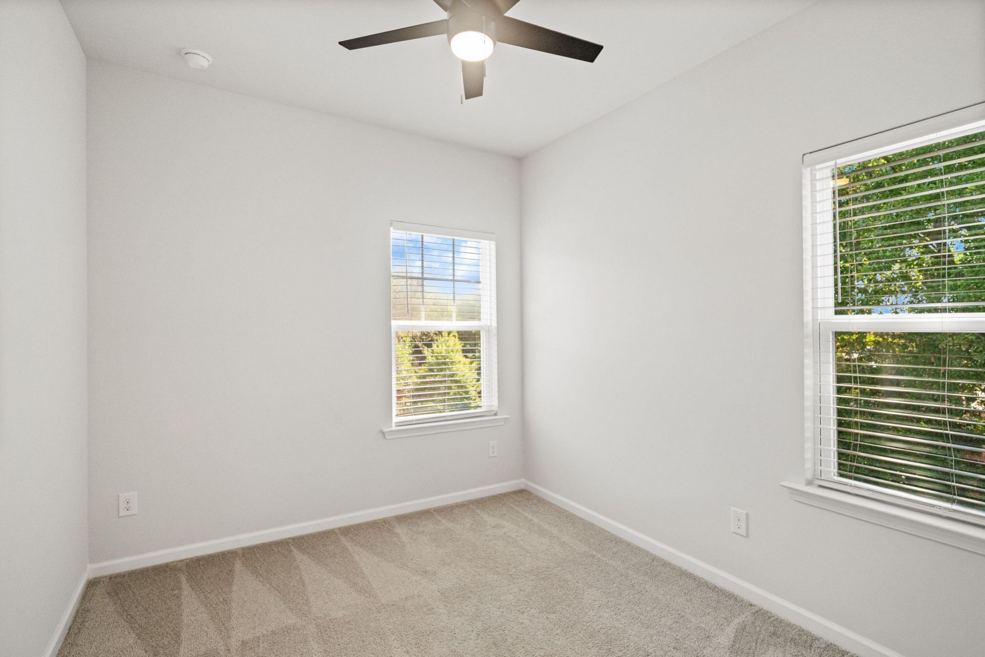 101 Rowans Creek Drive Photo 28