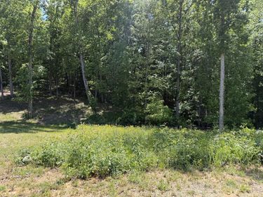 Lot 16 Vance Drive , Scottsville, KY 42164