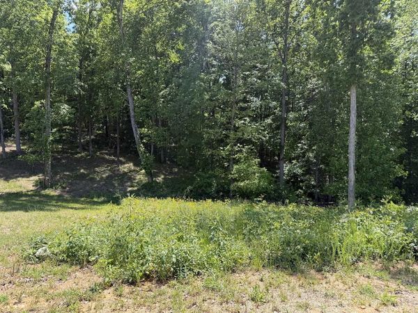 Lot 16 Vance Drive , Scottsville, KY 42164