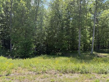 Lot 17 Vance Drive , Scottsville, KY 42164