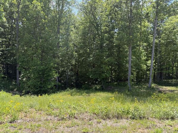 Lot 17 Vance Drive , Scottsville, KY 42164