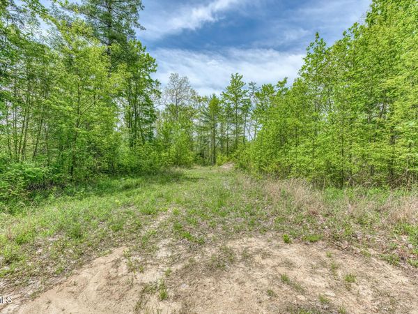 162 Murph Potter Lane, Roan Mountain, TN 37687
