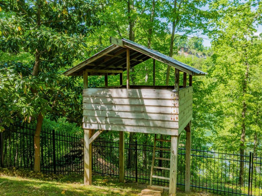 Property Image 60