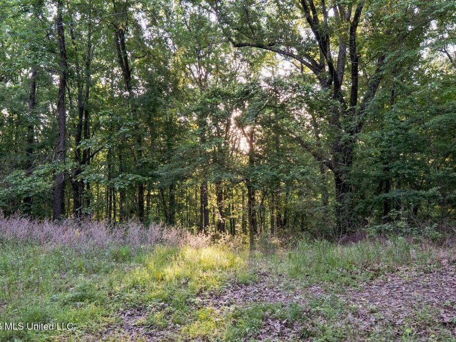 Property Image 86