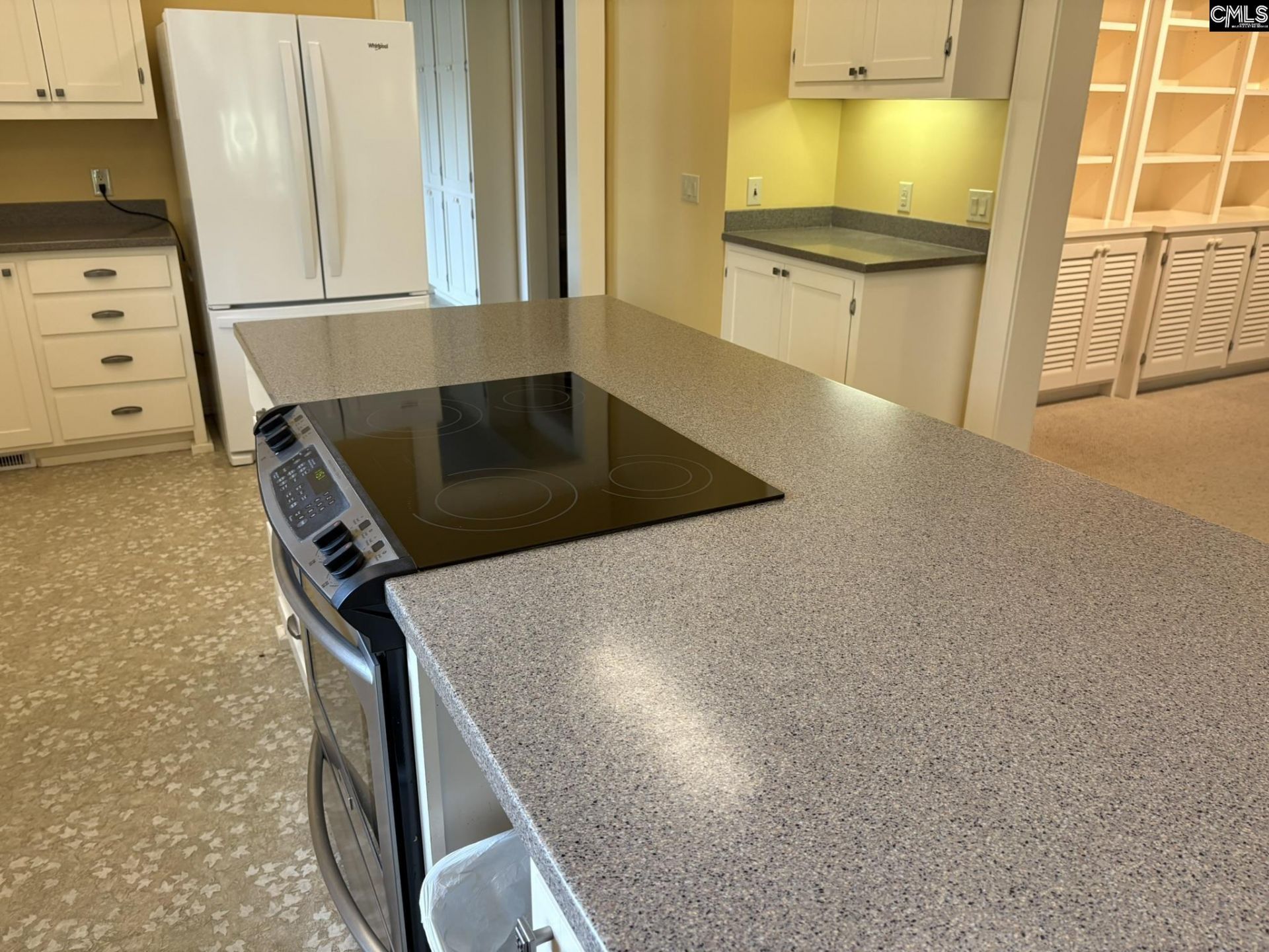 159 Greenside Drive  Photo 17