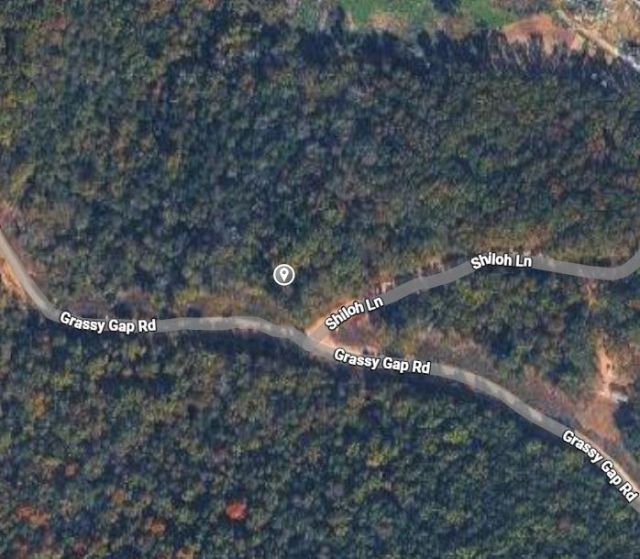 Grassy Gap Road , Lead Hill, AR 72644 Main Photo