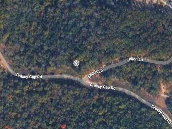 Grassy Gap Road , Lead Hill, AR 72644