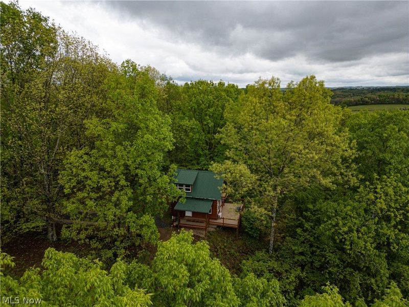 72420 Parker Road, Kimbolton, OH 43749 Photo 3