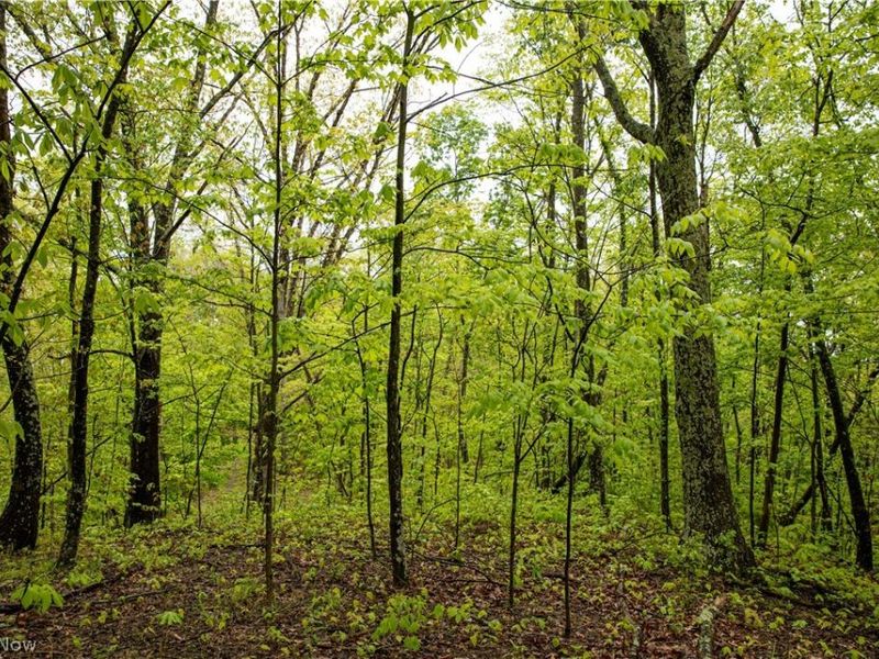 72420 Parker Road, Kimbolton, OH 43749 Photo 31