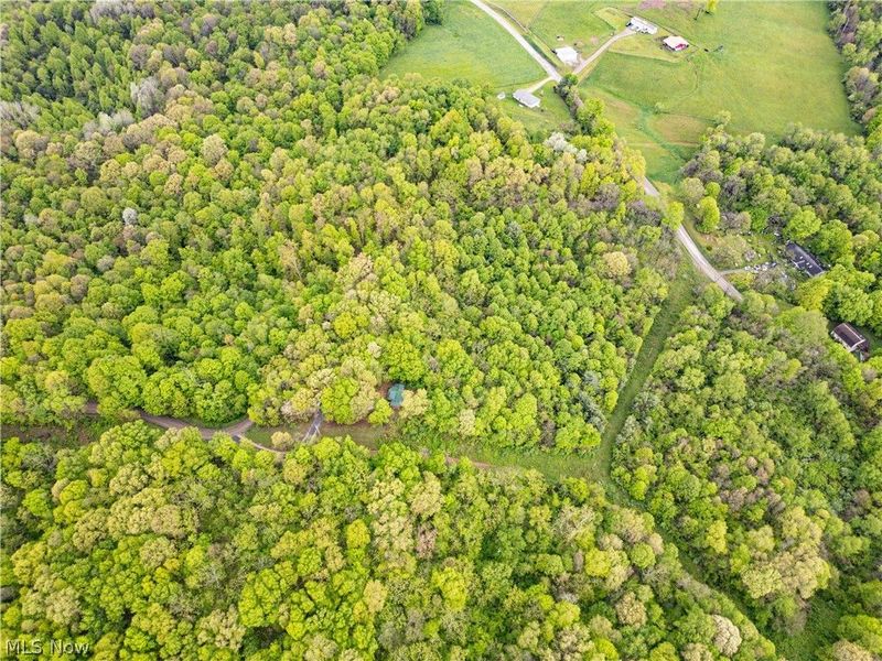 72420 Parker Road, Kimbolton, OH 43749 Photo 5