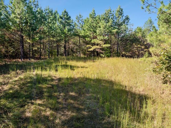 0 Cox Hollow Lot 43A & 43B , Dover, TN 37058