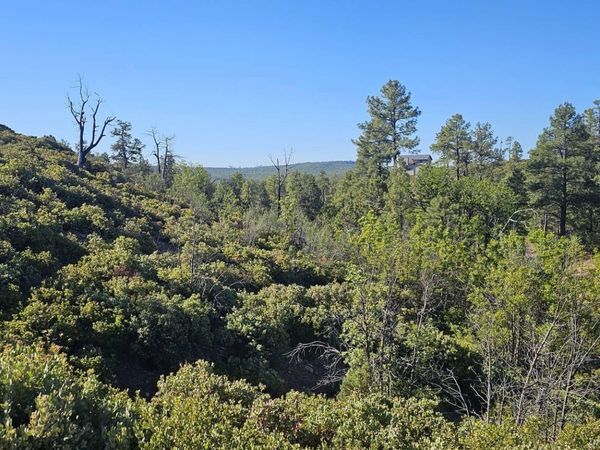 6303 Deer Run Road, Unit 398, Show Low, AZ 85901