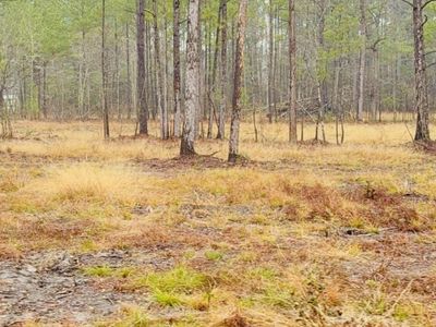 312 Heaven Drive, Saint Stephen, SC 29479