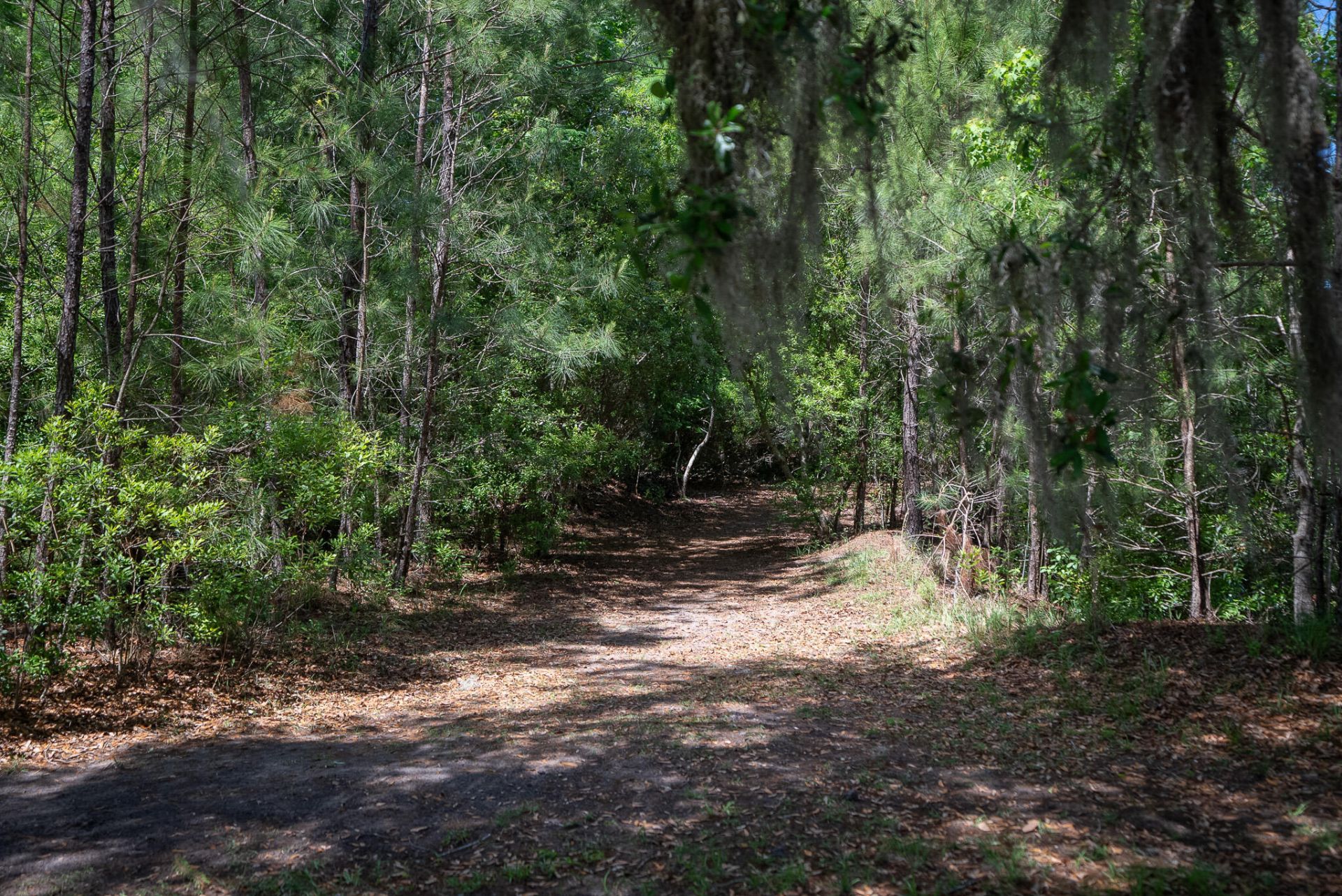 5060 Catfish Loop Photo 55