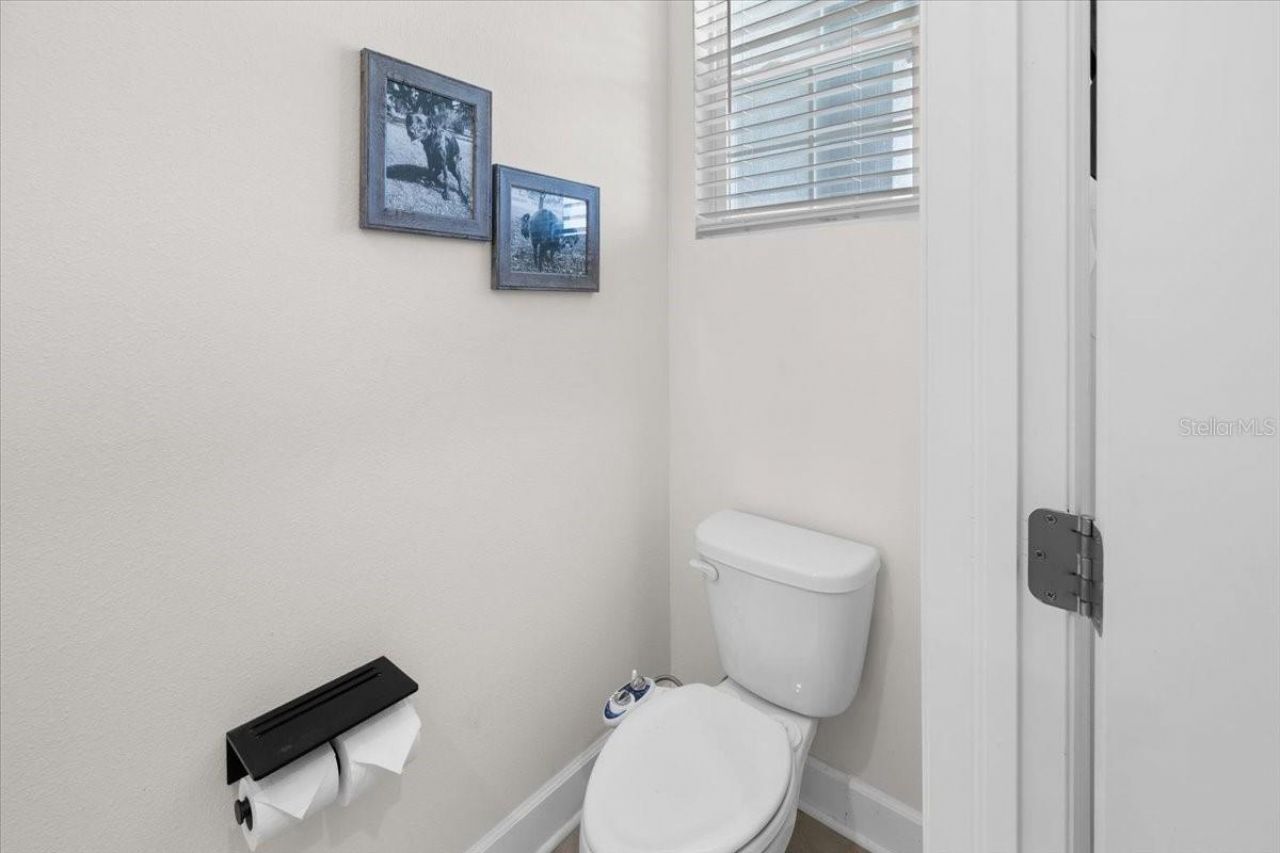 32419 Turtle Grace Loop, Wesley Chapel, FL 33545 Photo