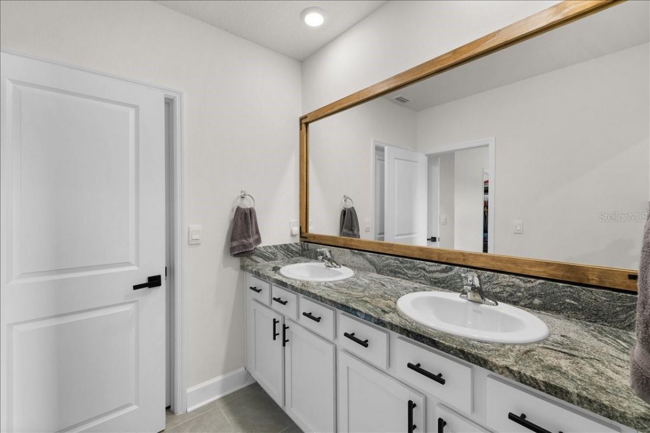 32419 Turtle Grace Loop, Wesley Chapel, FL 33545 Photo