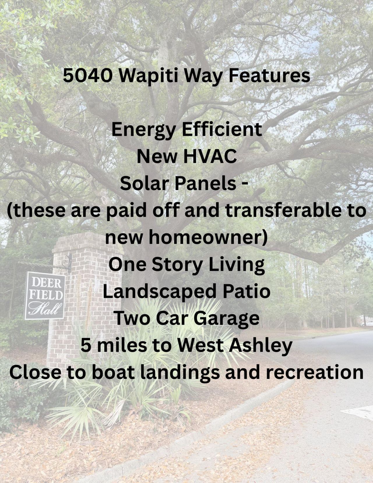 5040 Wapiti Way Photo 6
