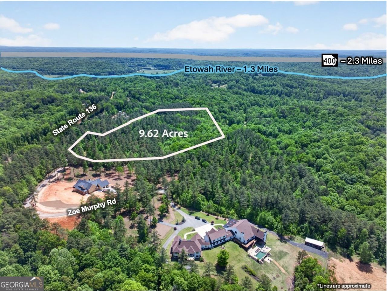 0 Zoe Murphy Road, Dawsonville, GA 30534 Main Photo