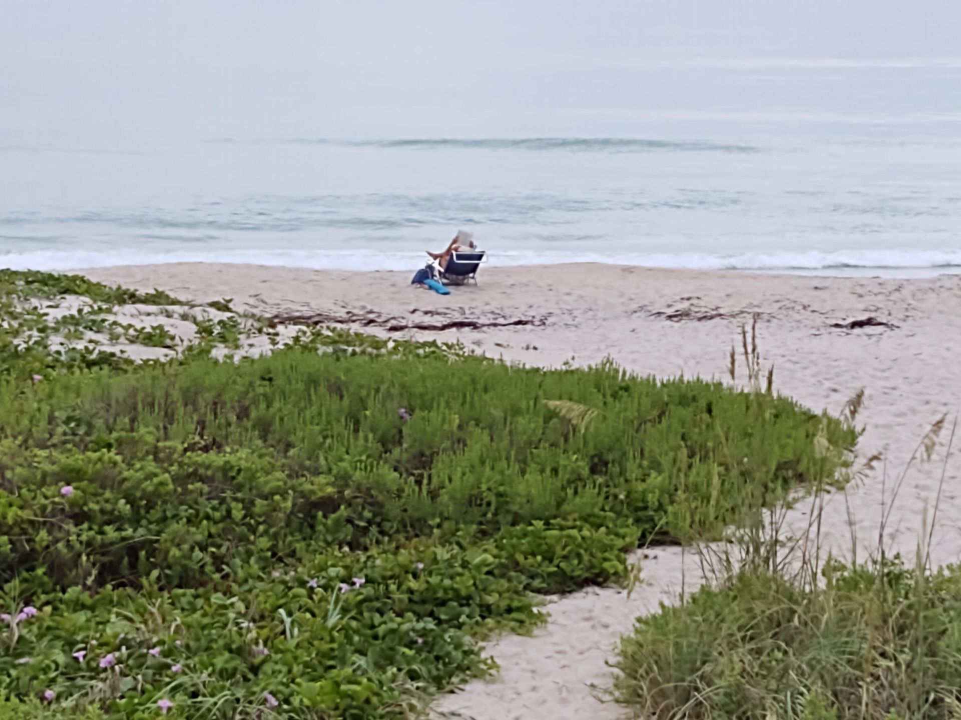 5047 N Highway A1a, Unit 801, Hutchinson Island, FL 34949 Photo