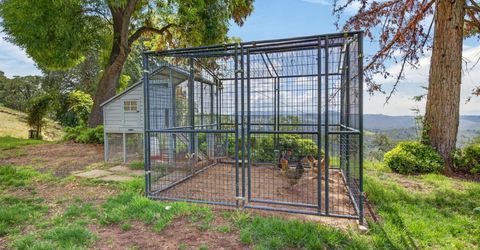 8950 W Butte Mountain Ln, Jackson, CA 95642 Photo