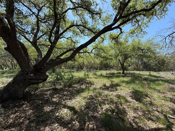 Lot 106 E Flying Owl DR , Johnson City, TX 78636