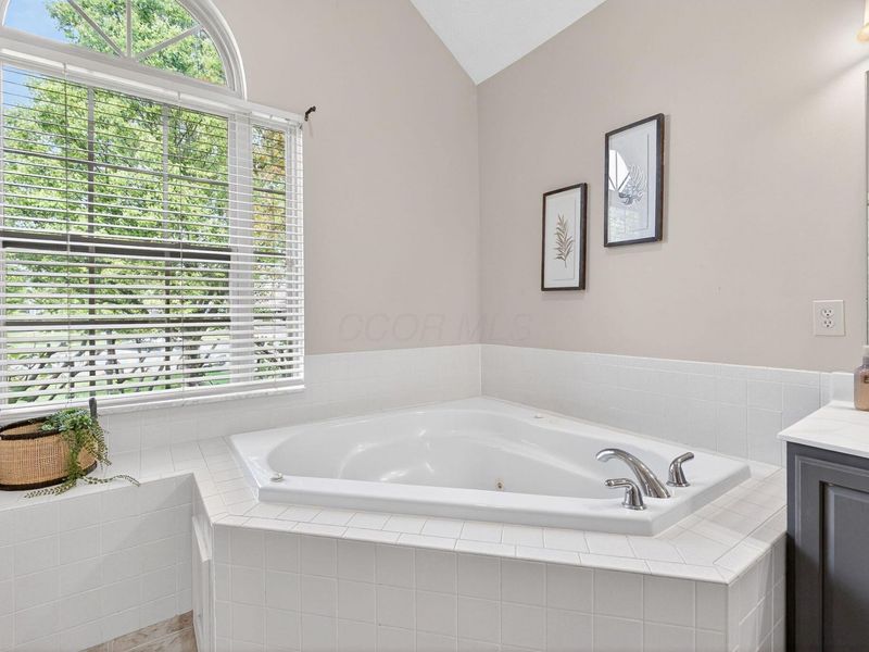 9293 Hampshire Court, Powell, OH 43065 Photo 23