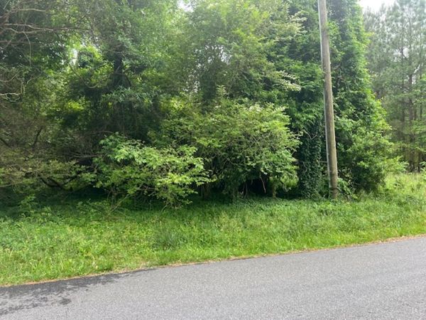 1.0 Acre Mansion Avenue, Claremont, VA 23899
