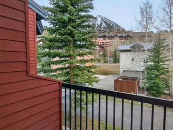 17 Castle Road, Mt. Crested Butte, CO 81225