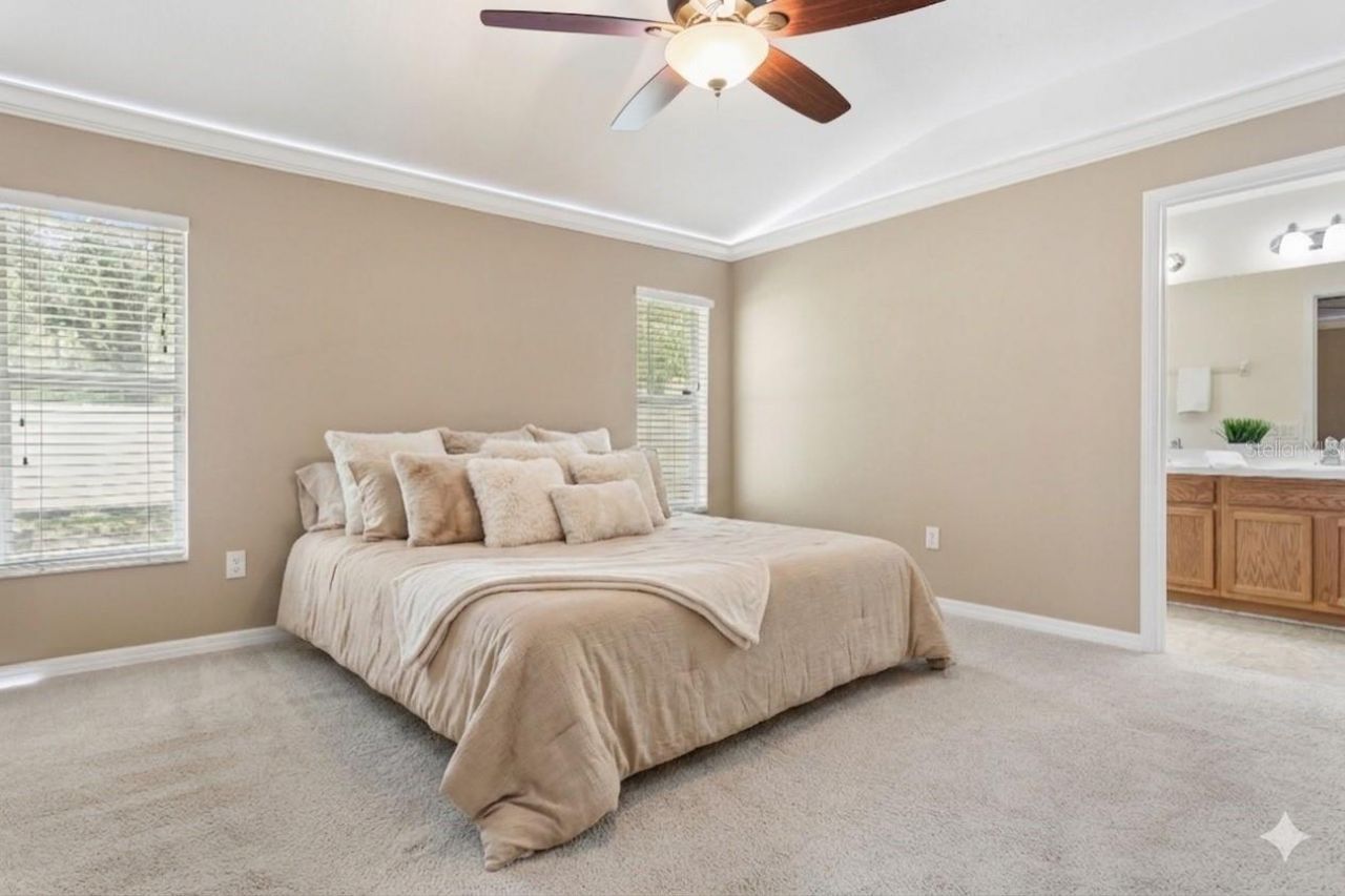 25932 Terrawood Loop, Land O Lakes, FL 34639 Photo