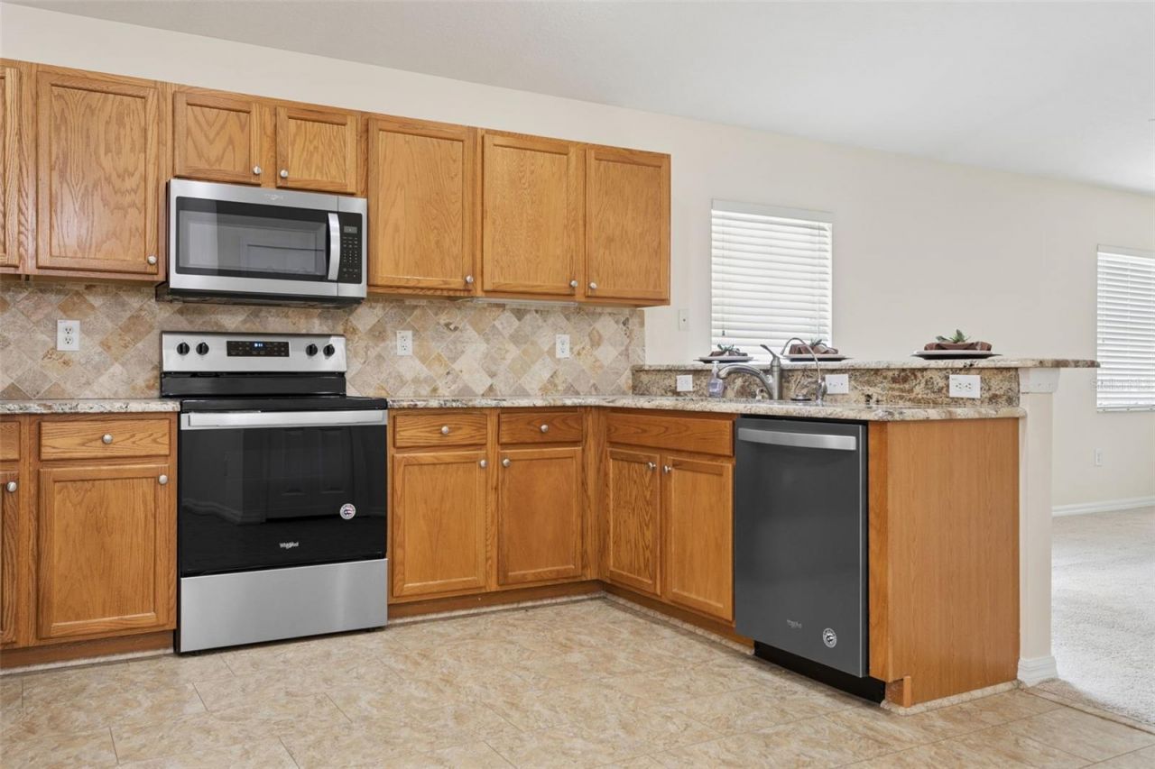 25932 Terrawood Loop, Land O Lakes, FL 34639 Photo