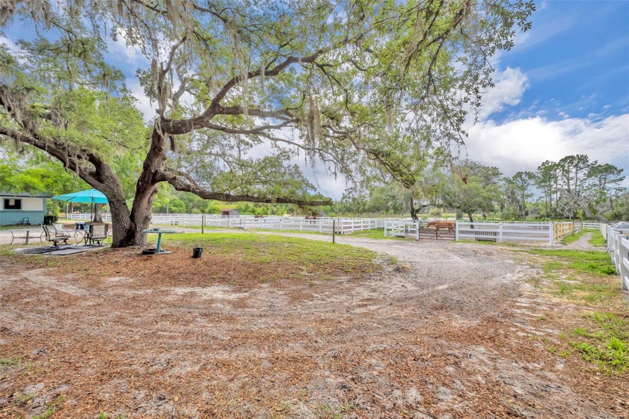 3287 N County Road 426 , Geneva, FL 32732 Photo