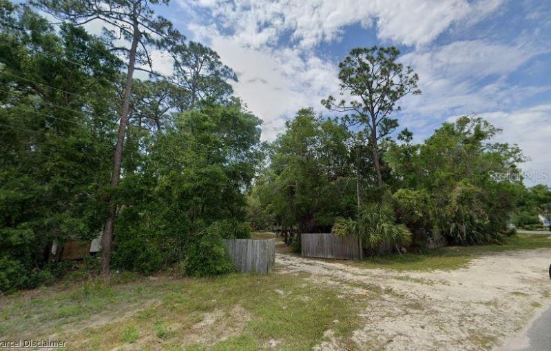 915 Lundy Lane Se, Steinhatchee, FL 32359 Photo