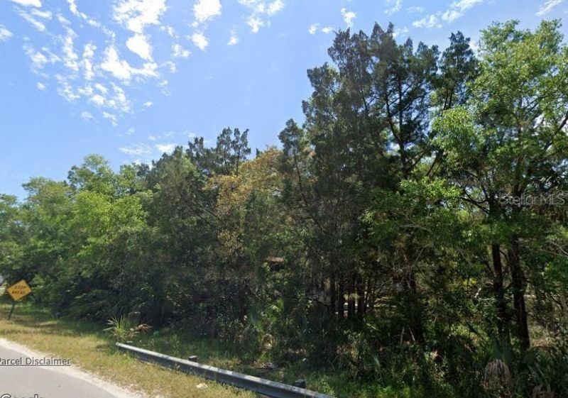 915 Lundy Lane Se, Steinhatchee, FL 32359 Photo