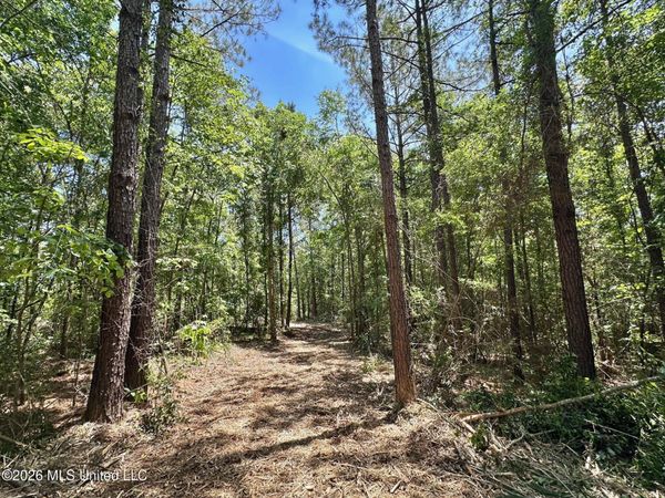 2 Mcnair Springs Road , Magee, MS 39111