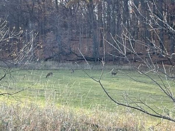 Lt2 CLARK STREET, Mayville, WI 53050