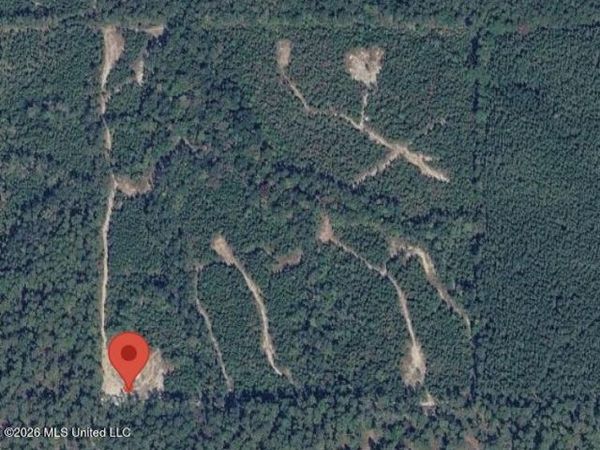 40 Acres Forestry Road 356 , Beaumont, MS 39423