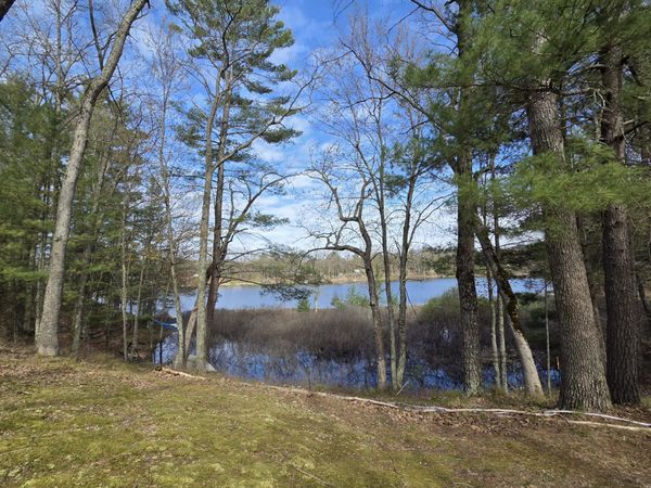 4735 N Alice Lake Drive, Irons, MI 49644