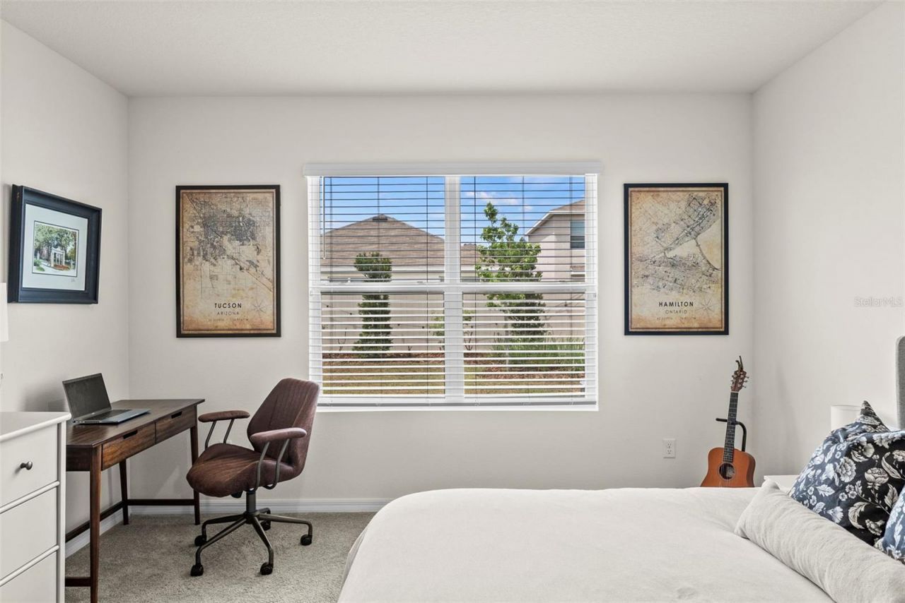 33607 Hamilton Hill Lane, Wesley Chapel, FL 33545 Photo