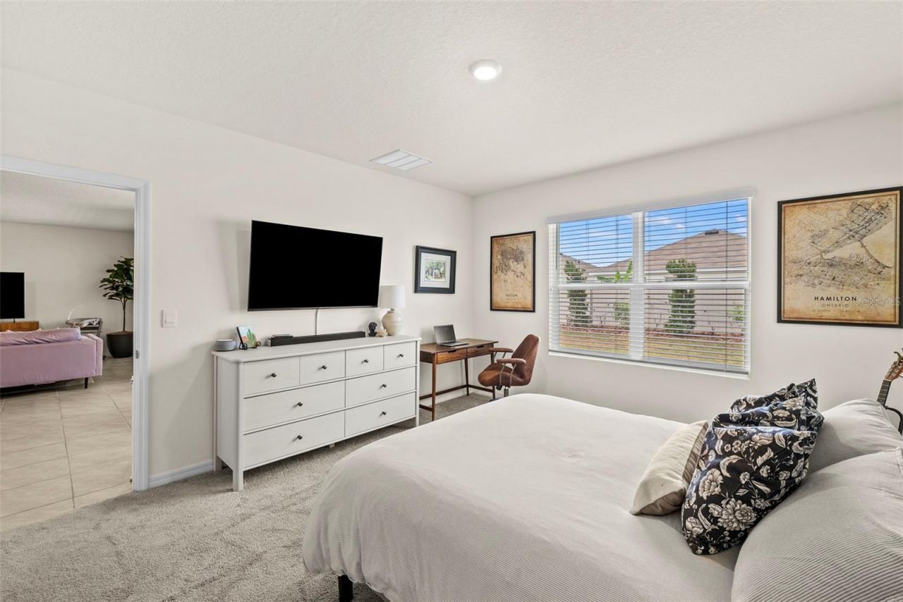 33607 Hamilton Hill Lane, Wesley Chapel, FL 33545 Photo