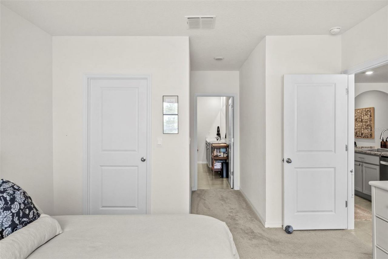 33607 Hamilton Hill Lane, Wesley Chapel, FL 33545 Photo