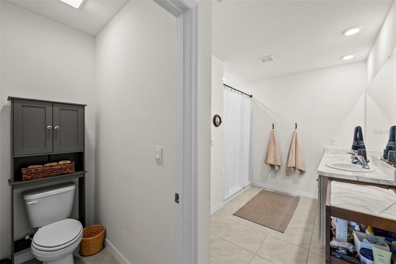 33607 Hamilton Hill Lane, Wesley Chapel, FL 33545 Photo