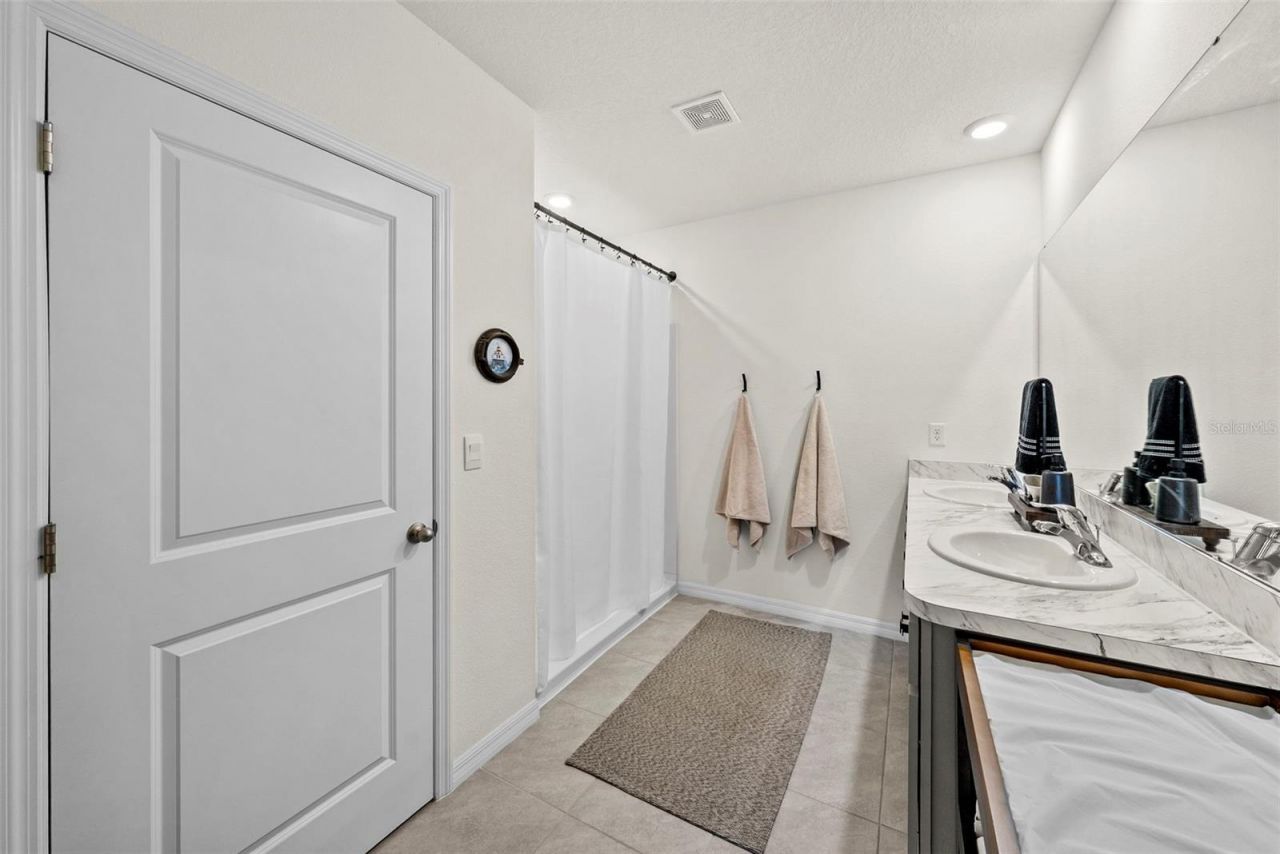 33607 Hamilton Hill Lane, Wesley Chapel, FL 33545 Photo