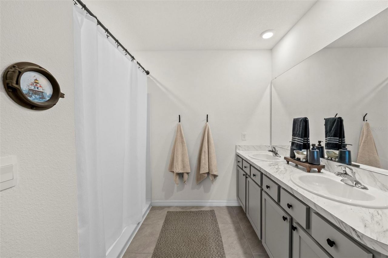 33607 Hamilton Hill Lane, Wesley Chapel, FL 33545 Photo